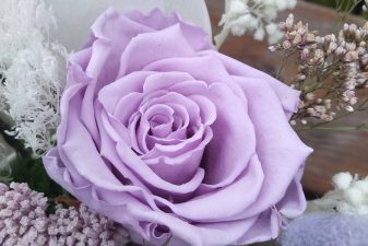 Purple and lavender preserved flowers