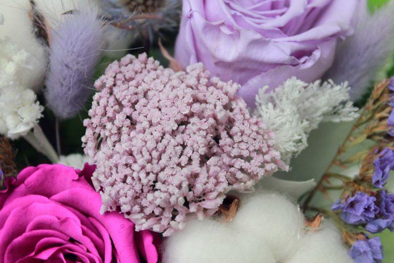 Purple and lavender preserved flowers