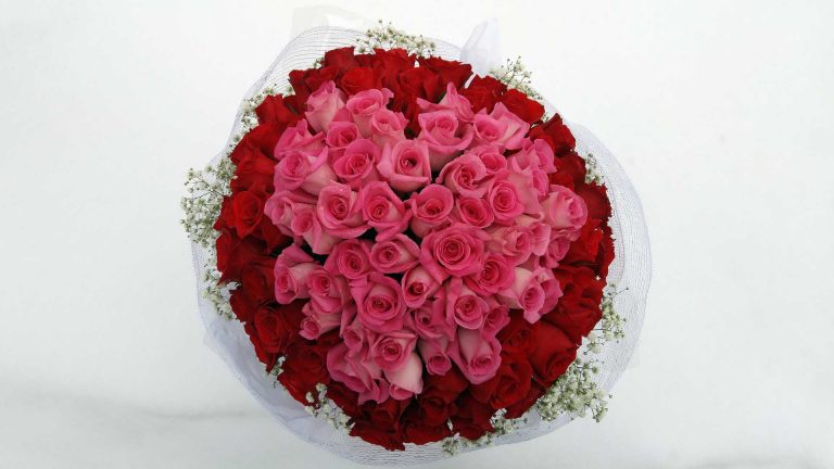 Glamorous 99 red & pink roses bouquet