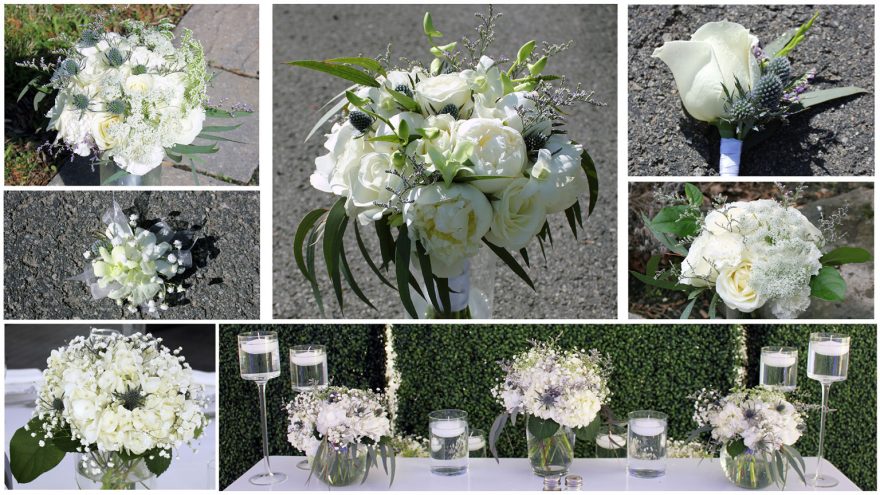 Natural Organic White & Green Theme