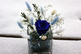 Blue eternal rose with preserved bunny tails