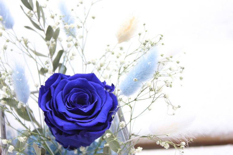 Blue Preserved Rose Vase