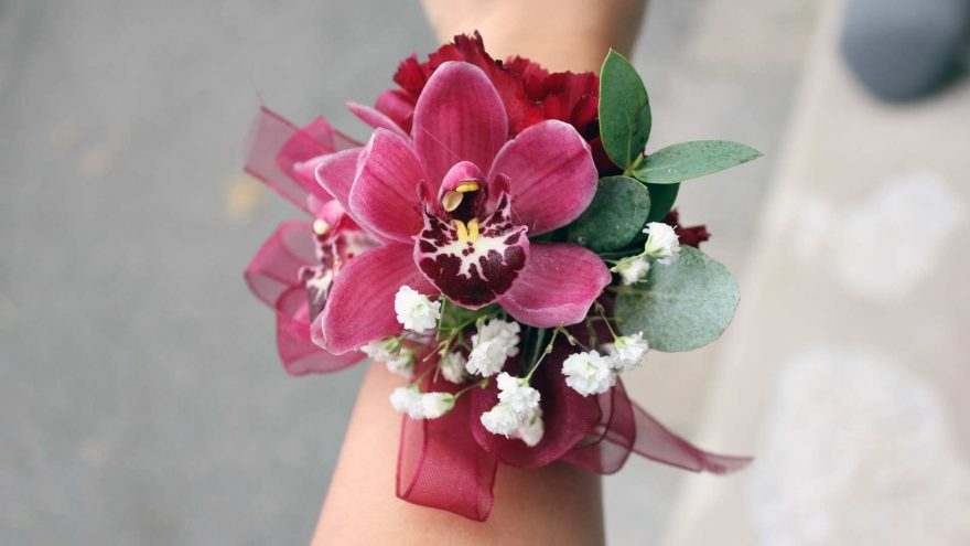 Burgundy Orchid Wrist Corsage