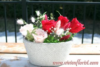 Red and pink eternal roses in clay vase
