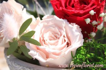 Red and pink eternal roses in clay vase