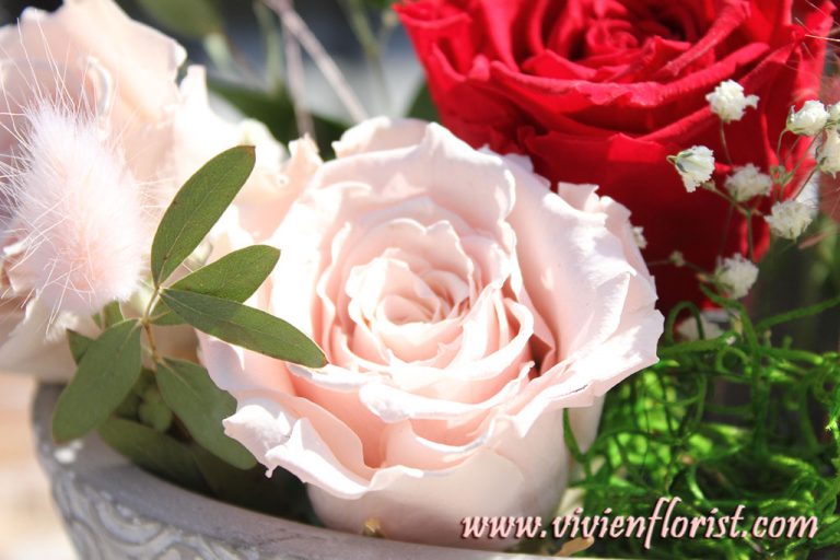 Red and pink eternal roses in clay vase