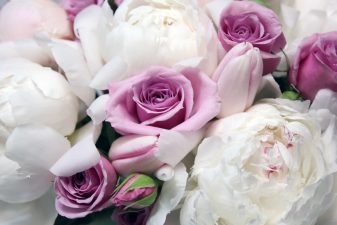 GentlePinkFreshBouquet-Rose