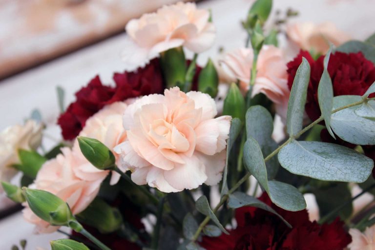 Contemporary carnations centerpiece Montreal