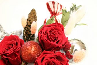 Red preserved roses in holiday box