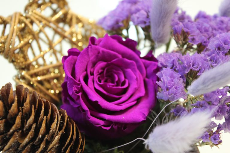 Purple preserved rose gift box